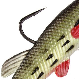 Mồi mềm câu lure