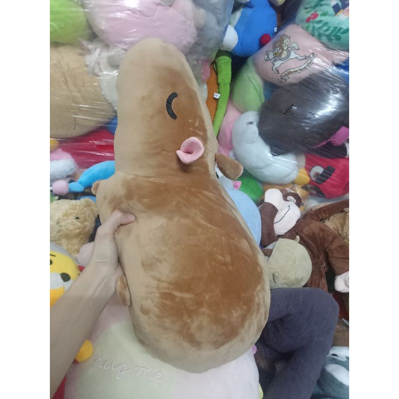 Gấu bông miniso size 40-55cm