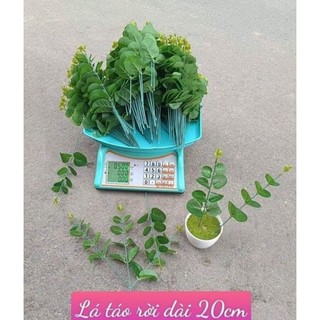 Cành lá táo điểm hoa trang trí 20cm