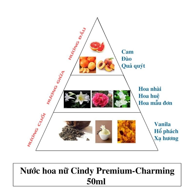 NƯỚC HOA NỮ CINDY PREMIUM - CHARMING 50ML