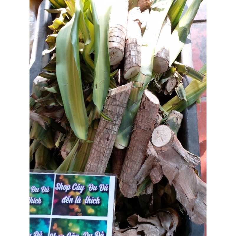 Thiết Mộc Lan hay Phát Tài