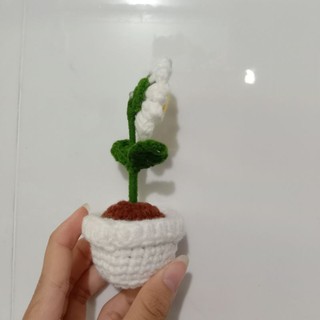CHẬU HOA CÚC TRẮNG LEN HANDMADE