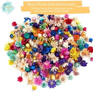 Hộp 20 -25 Hoa khô Glixia tự nhiên dùng trong Resin,  diy, thiệp, ..v..v..v...