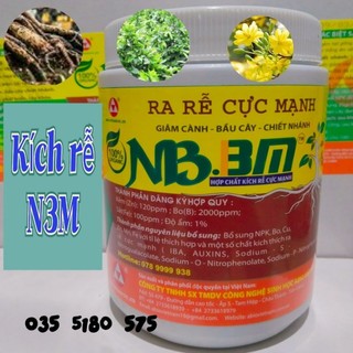 Kích rễ cho mai vàng n3m hủ 500g