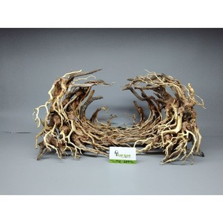lũa gỗ Bonsai cho hồ cá, hồ thủy sinh dạng Layout