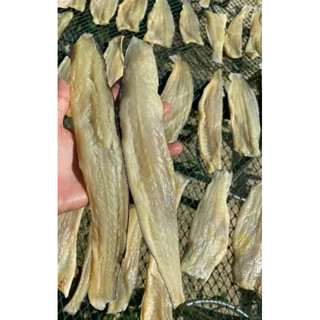 Khô cá dứa 1kg thịt dày, dai, thơm không chất bảo quản