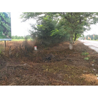 THUỐC TRỪ CỎ VUA LƯU DẪN (Lọ phun 7 bình máy)