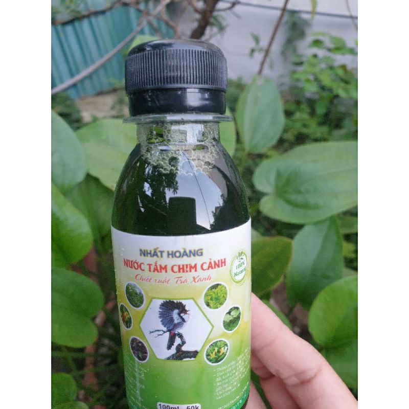 Nước tắm chim cảnh nhất Hoàng