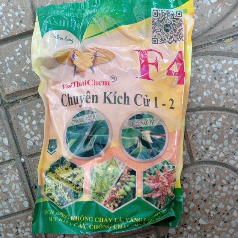 Ra hoa xoài voi thái F4 kg