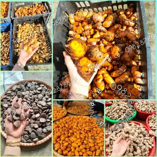 CỐT HẠ THỔ SAU SINH CHO MẸ