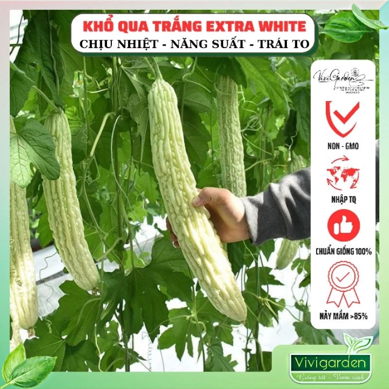 Hạt giống khổ qua khổng lồ Extra White, mướp đắng trắng quả to dài đến 45cm, sai quả, chịu nhiệt tốt, gói lẻ 5 hạt