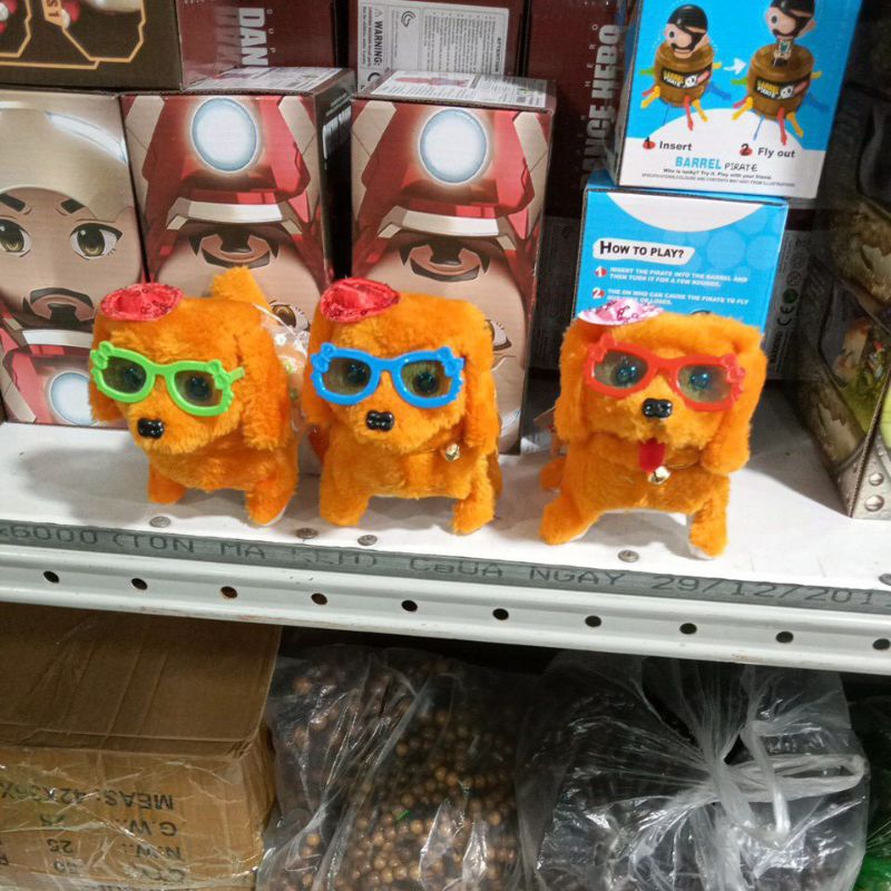 CHÓ BÔNG BIẾT ĐI BIẾT SỦA CÓ ĐÈN