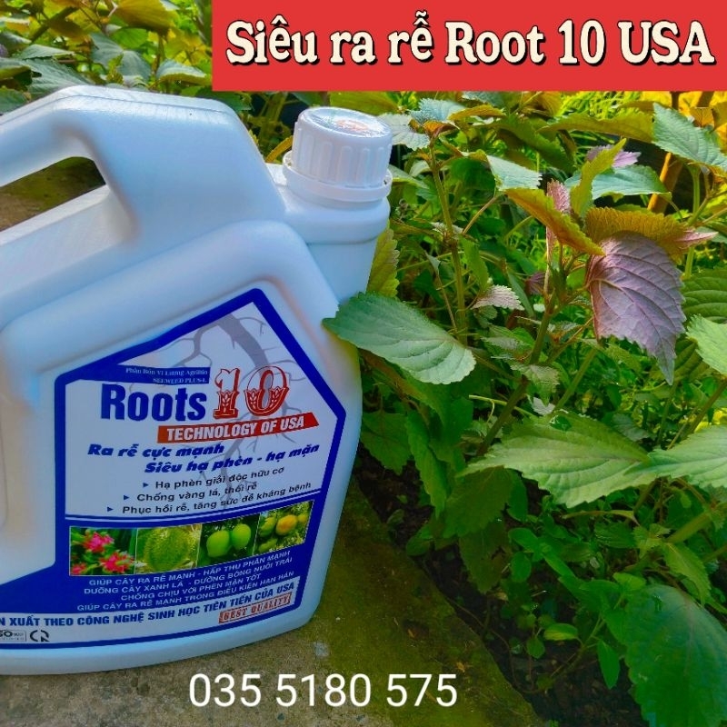 Siêu ra rễ Root 10 USA - Can 5 lít