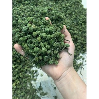 100gr nụ hoa tam thất xanh[hàng chuẩn loại 1]