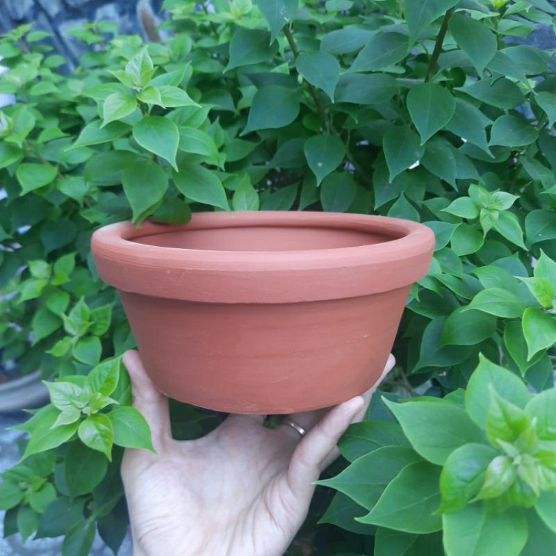 Chậu đất nung - Chậu trồng sen đá, xương rồng - Chậu thau trung miệng 16cm, cao 7cm