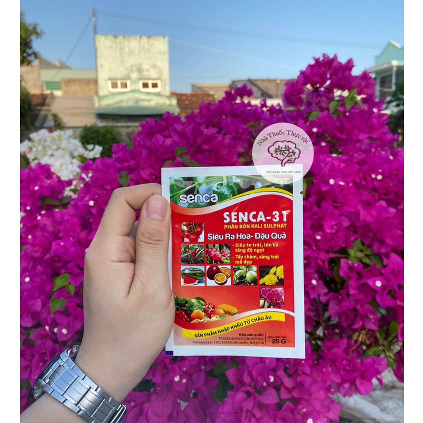 SENCA 31 PHÂN BÓN KALI SULPHAT SIÊU RA HOA, ĐẬU QUẢ gói 25gr