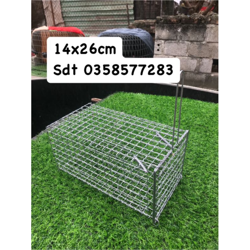 Bẫy chuột 14x26cm