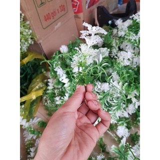 100gr cỏ điểm[ mẫu tùy chọn]
