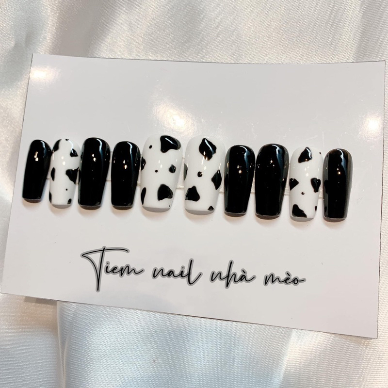 Nail box thiết kế 70k