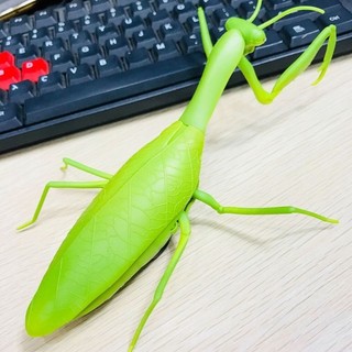 Đồ chơi con bo ngua điều khiển - động vật diều khiển từ xa