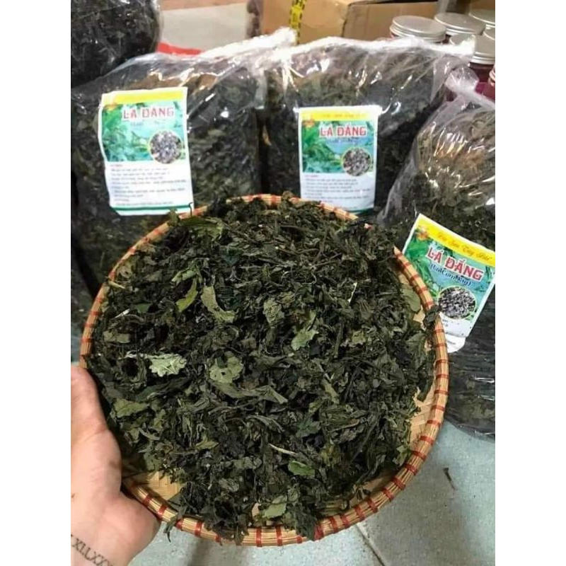 190k/1 kg lá kìa cơm ( lá đắng) dân tộc Tây Bắc