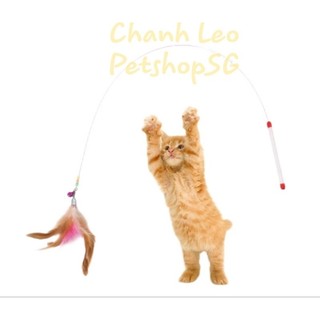 Chanh-leo ❣️ cần câu mèo - đồ chơi cho mèo