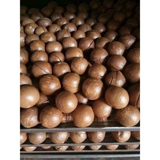 Hạt Macca Bi Đắk Lắk 500gr