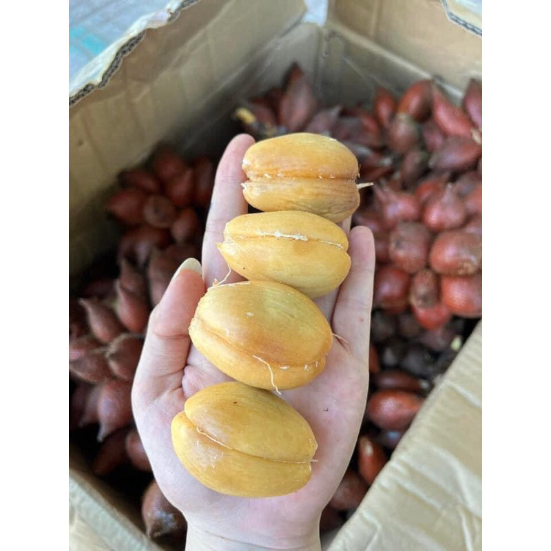 Mây thái đường