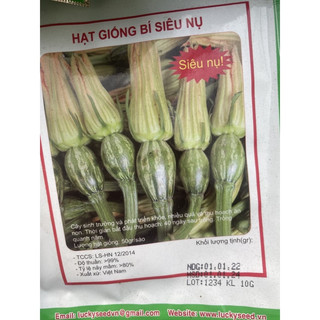 Hạt Giống Bí Siêu Nụ - Bí Ăn Nụ 10gram