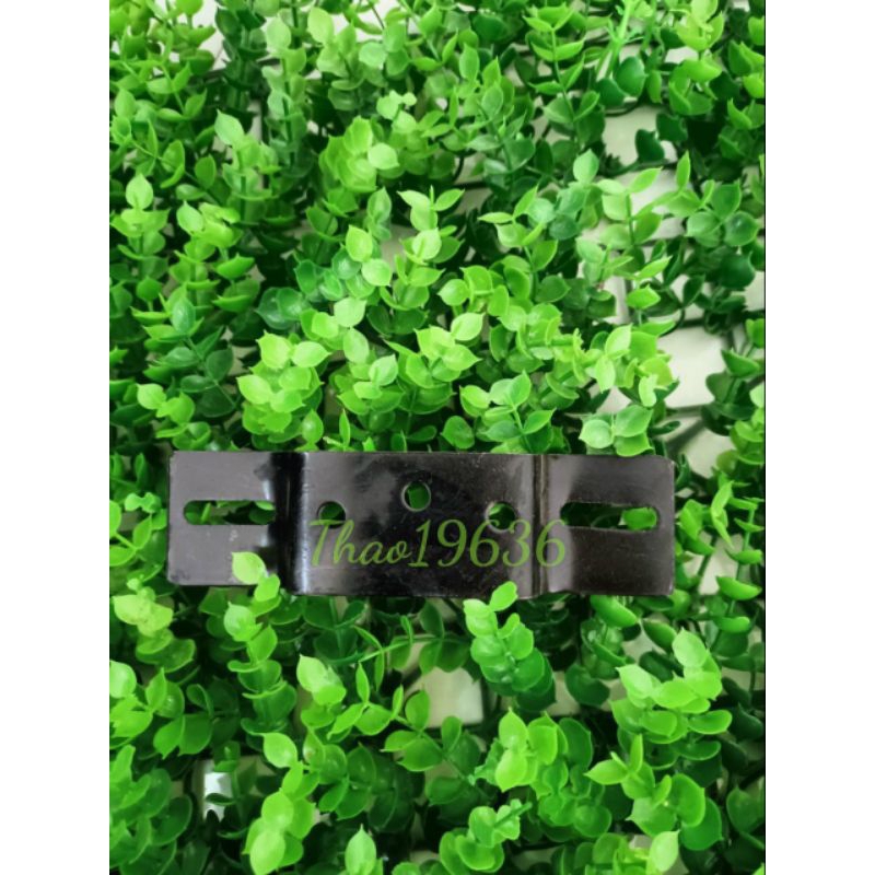 Pát biển số xipo