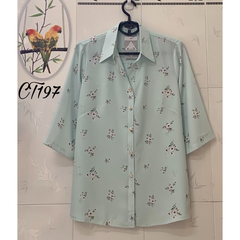 Áo sơmi trung niên