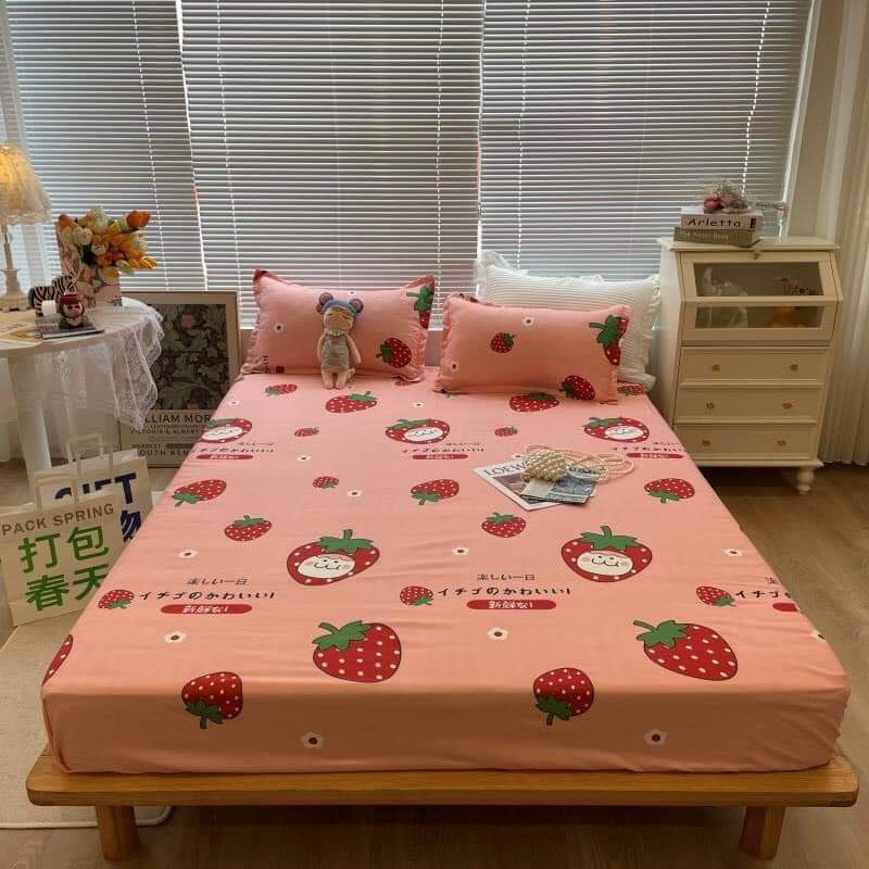 Ga Gối Cotton Poly Bộ 3 Món Ga Giường và 2 Vỏ Gối hàng loại 1