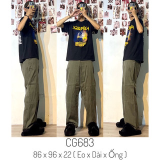 Quần túi hộp cargo pants 2hand