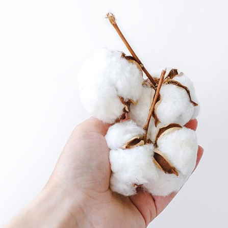 Khăn vải khô lau mặt đa năng bông an toàn có thể làm ướt dùng một lần cotton khăn mềm vắt khô (TM13) #9