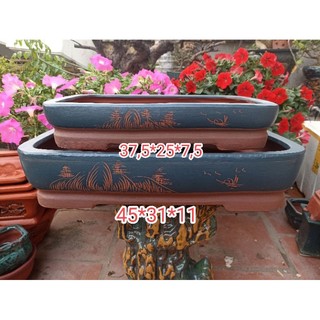 Ang, chậu chữ nhật bonsai mẫu tàu
