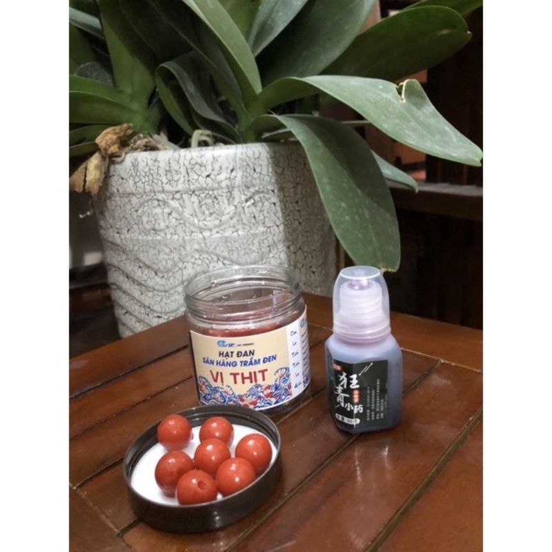 Hạt đan trắm đen + lọ tinh mùi