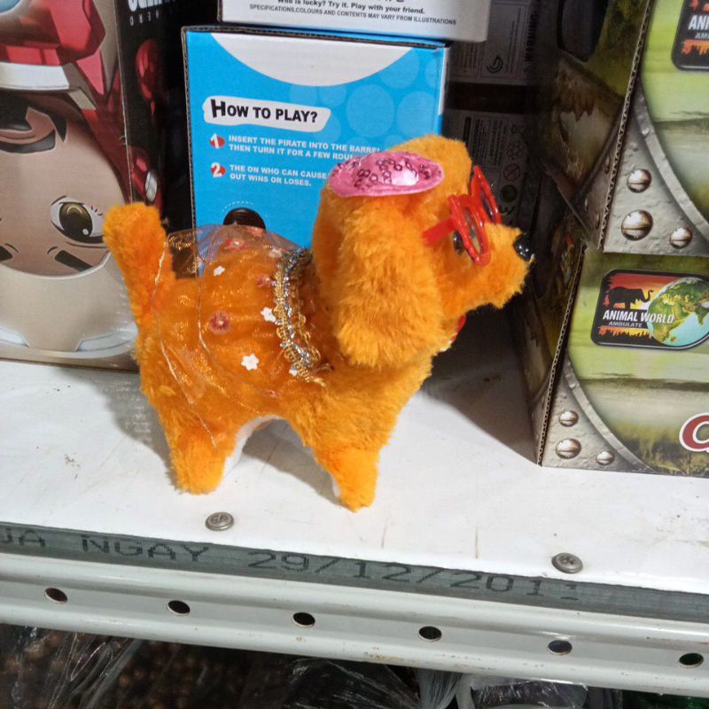 CHÓ BÔNG BIẾT ĐI BIẾT SỦA CÓ ĐÈN