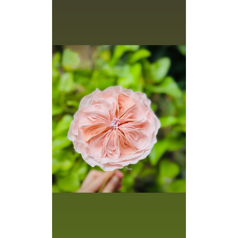 Bột Đường Gumpaste