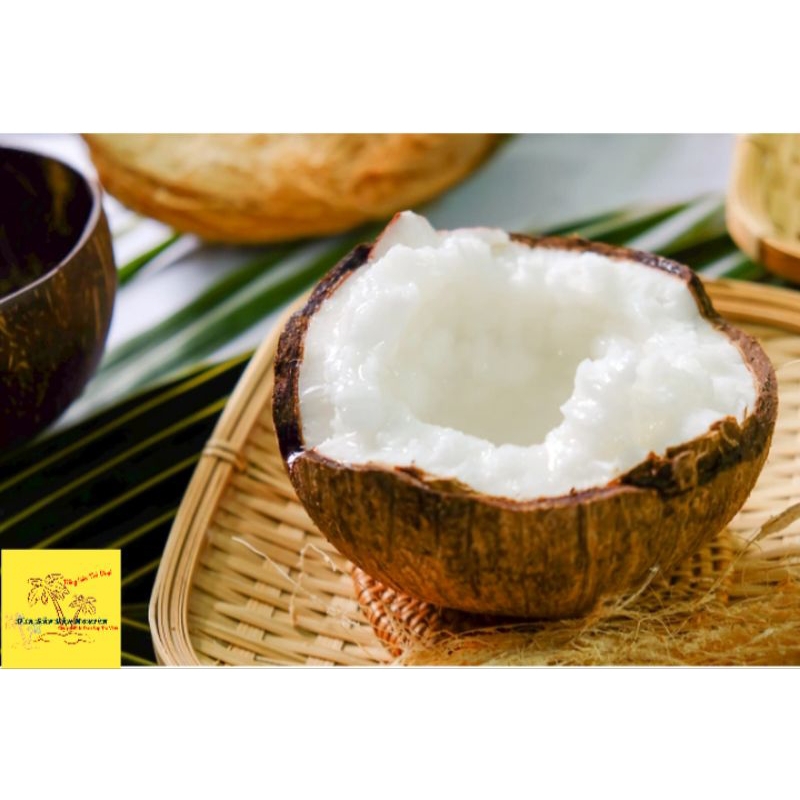 Dừa Sáp 1,3*1,5kg