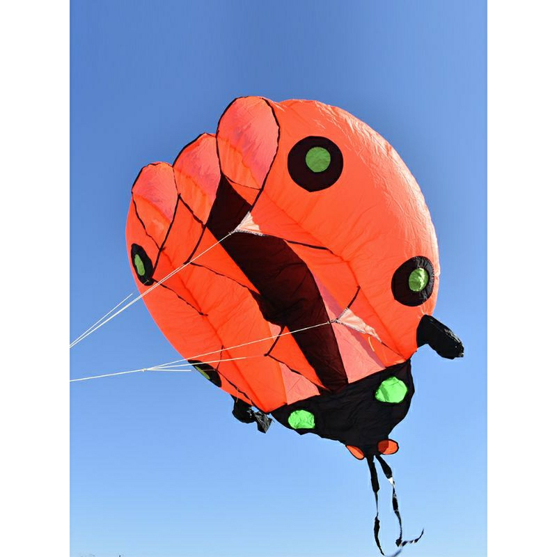 DIỀU KHÍ ĐỘNG HỌC - LADYBUG 5.5m2