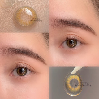 Lens kính áp tròng mis brown