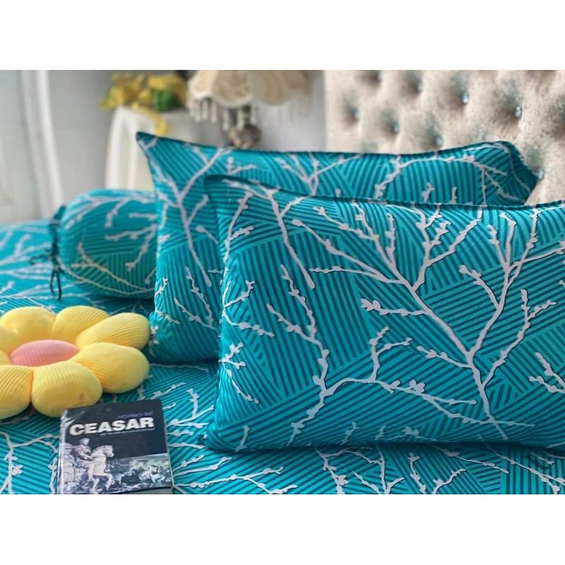 DRAP THUN HÀN QUỐC NHÀNH CÂY BAO SANG