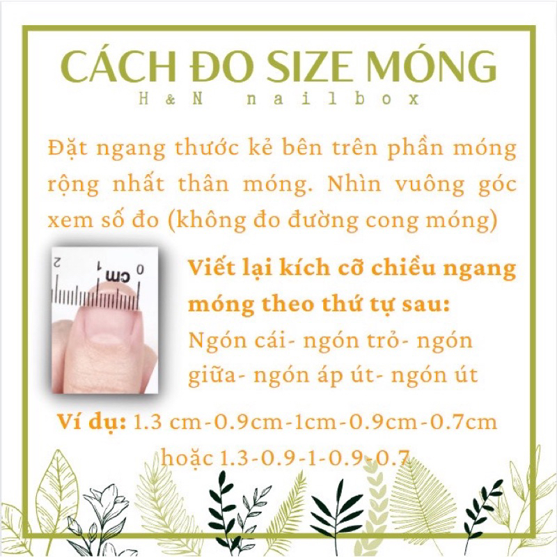 Naolbox Nail box Móng Úp Thiết Kế Hoạt Hình Dễ Thương