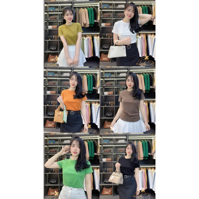 Áo phông polo trơn cổ tròn ống tay gấp gấu chanh xả - LADY. Clothing