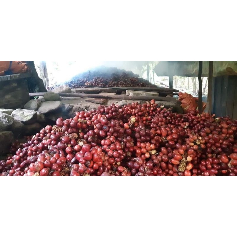 THẢO QUẢ KHÔ Loại 1 Quả To, Thơm mới Nhất 100gr, 50gr