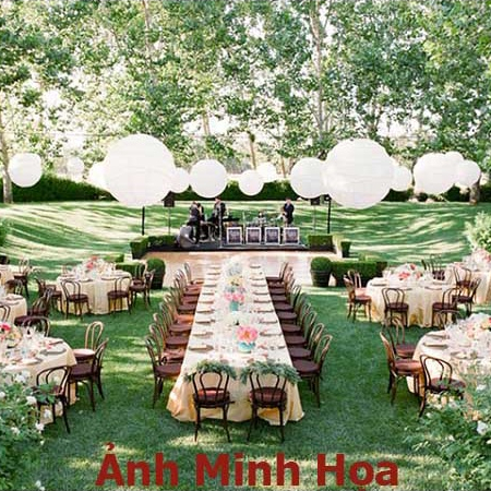 Cuộn 50m² Thảm Cỏ Nhân Tạo Mỏng Rẻ Thi Công Lót Sàn Trải nền Hội Nghị tiệc cưới Ngoài Trời Trong nhà ngắn hạn