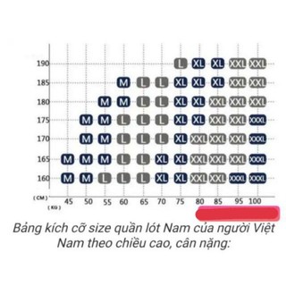 SET 10 QUẦN SỊP PROBEN THUN LẠNH PB03