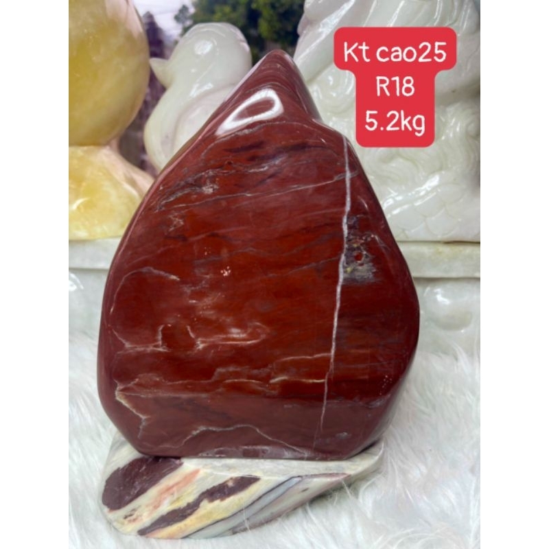 Cây đá đỏ huyết phong thủy cho mệnh thổ hoả