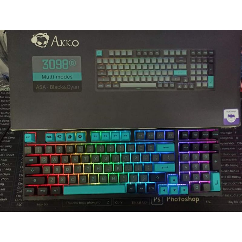 Bàn phím cơ 2nd AKKO 3108 5108 3098B 3087 3096 3068 3108RF 3087RF đã qua sử dụng mọi chức năng còn tốt