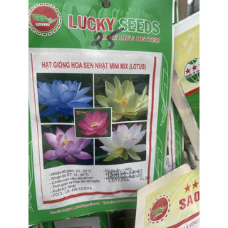 Hạt hoa sen mini Nhật (5 hạt)